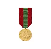 medaille famille udaf