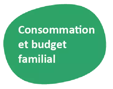 consommation et budget familial
